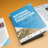 Introducing the National Economic Transition Platform